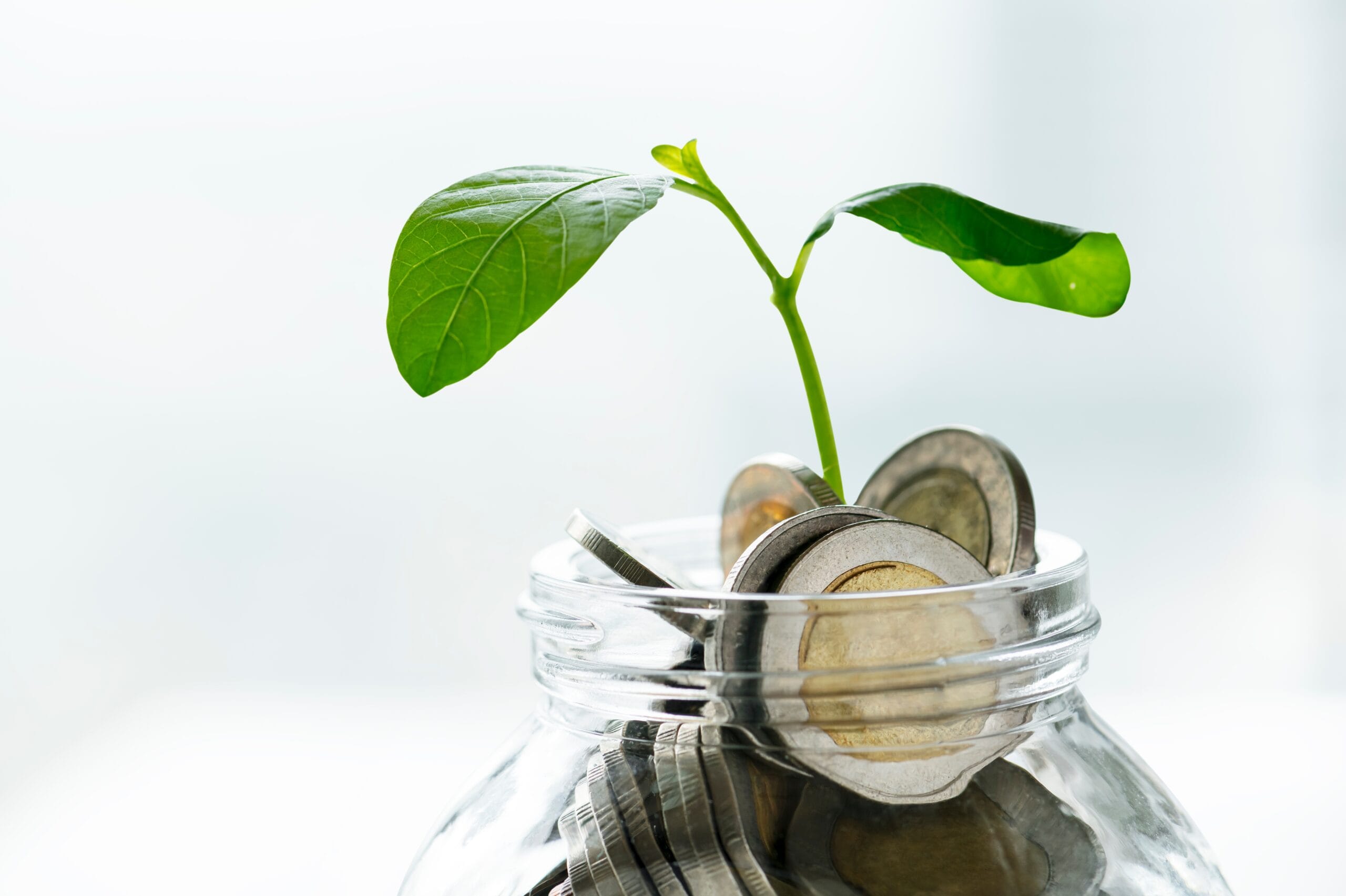 Crédito Verde: O Futuro Sustentável