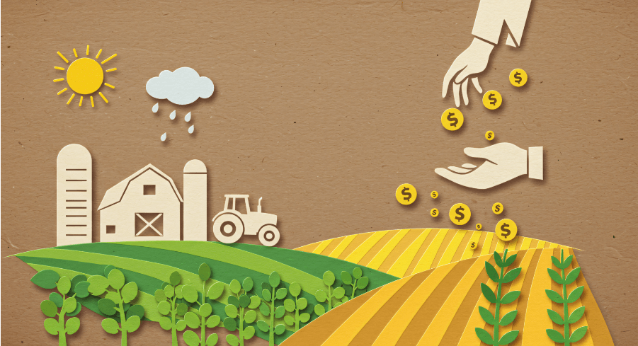 Crédito Rural: Como a Inadimplência e Exigências Ambientais Afetam o Setor Agro